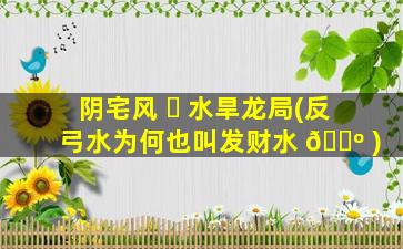阴宅风 ☘ 水旱龙局(反弓水为何也叫发财水 🐺 )